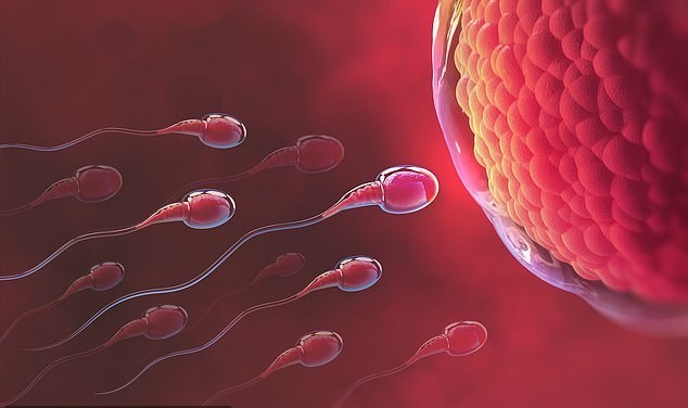how-to-personally-check-your-sperm-quality