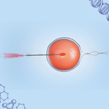 AVF Fertility Clinic Placeholder Image